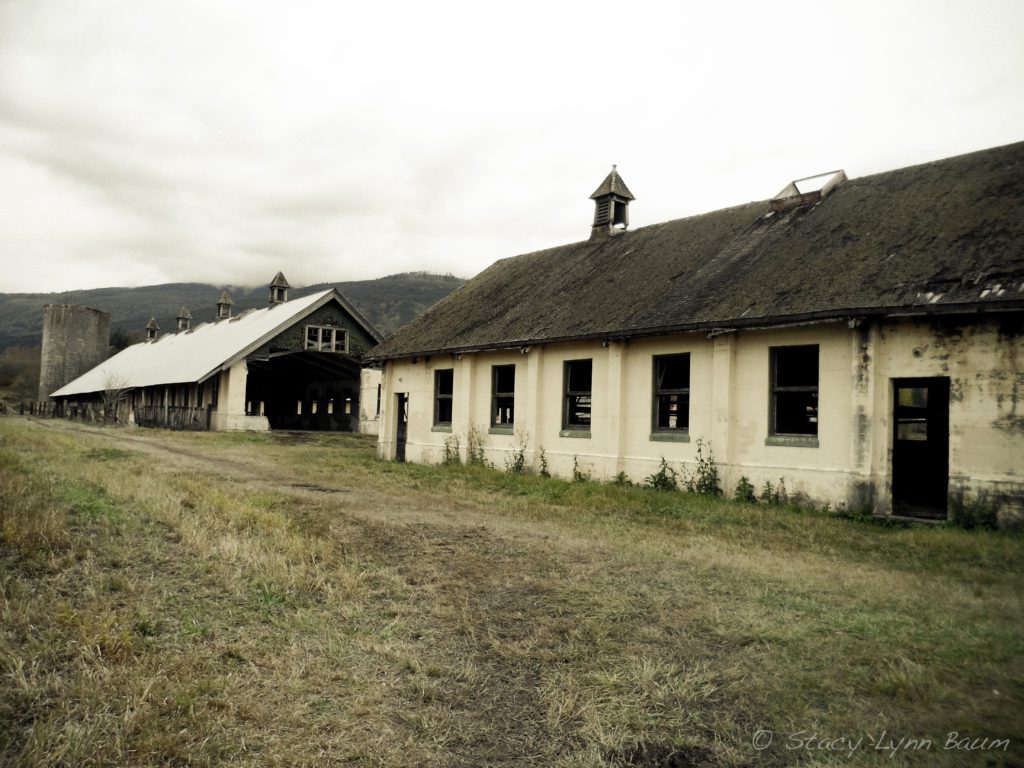 Shot of Northern State Mental Hospital