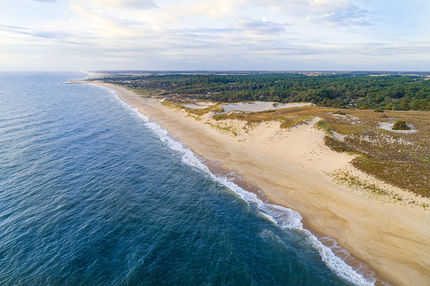Cape Henlopen State Park