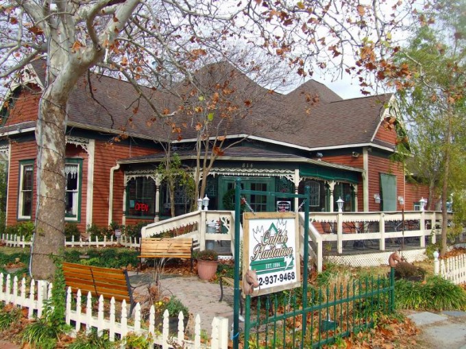 Ghosts of the Catfish Plantation