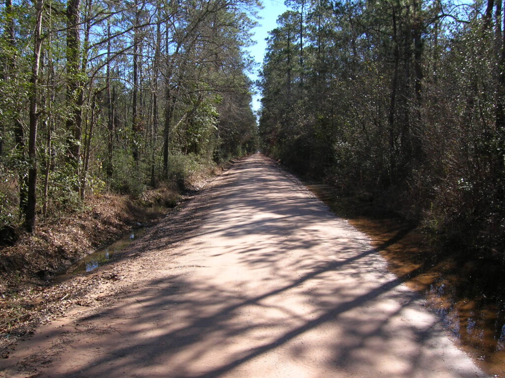 Bragg Road