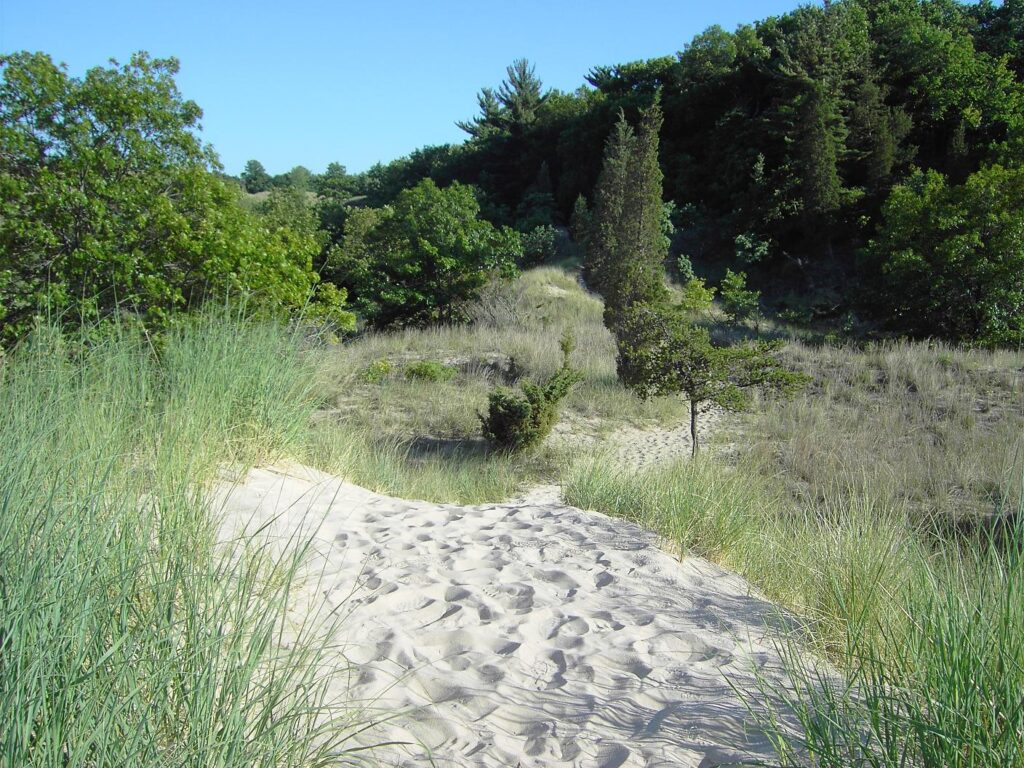 Dunes State Park