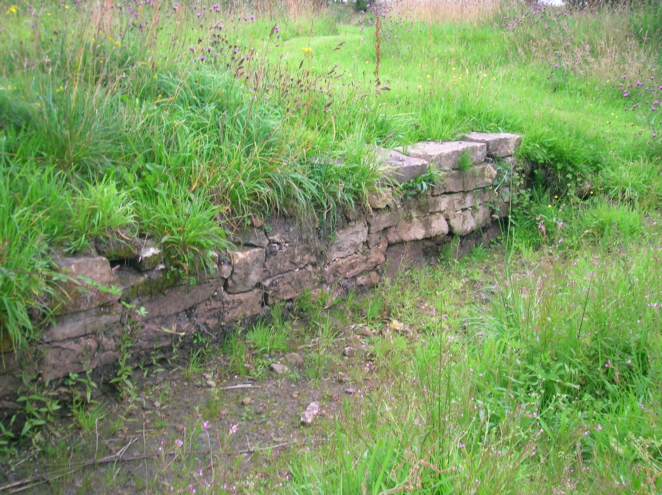Auchentiber