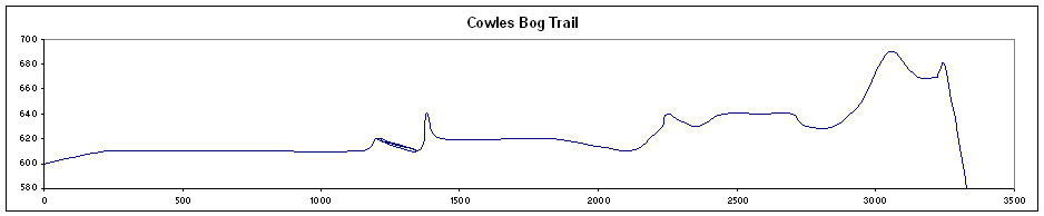 100 step Cemetery