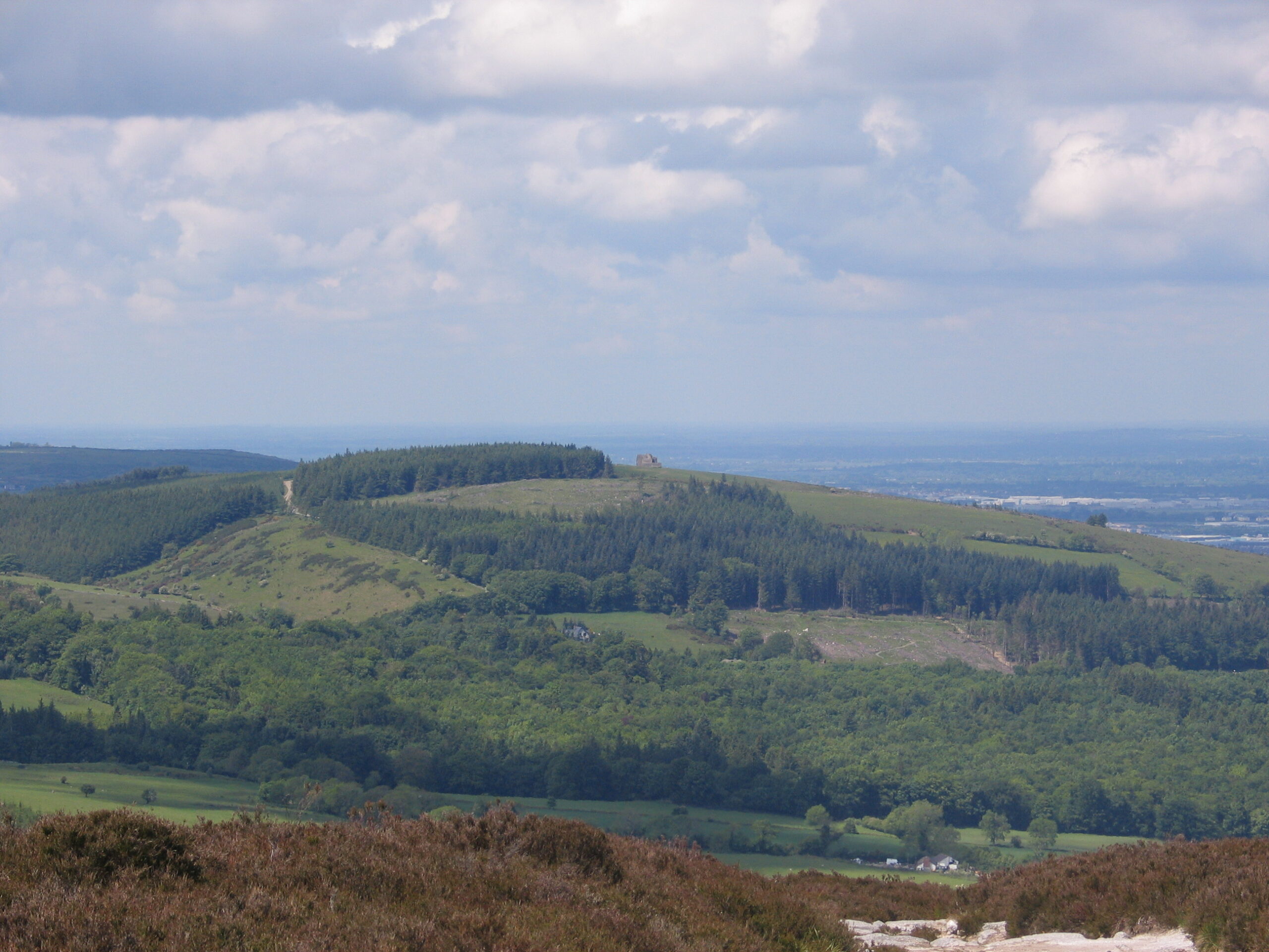 Cloven Hooves and a Black Cat: Montpelier Hill’s Ruin